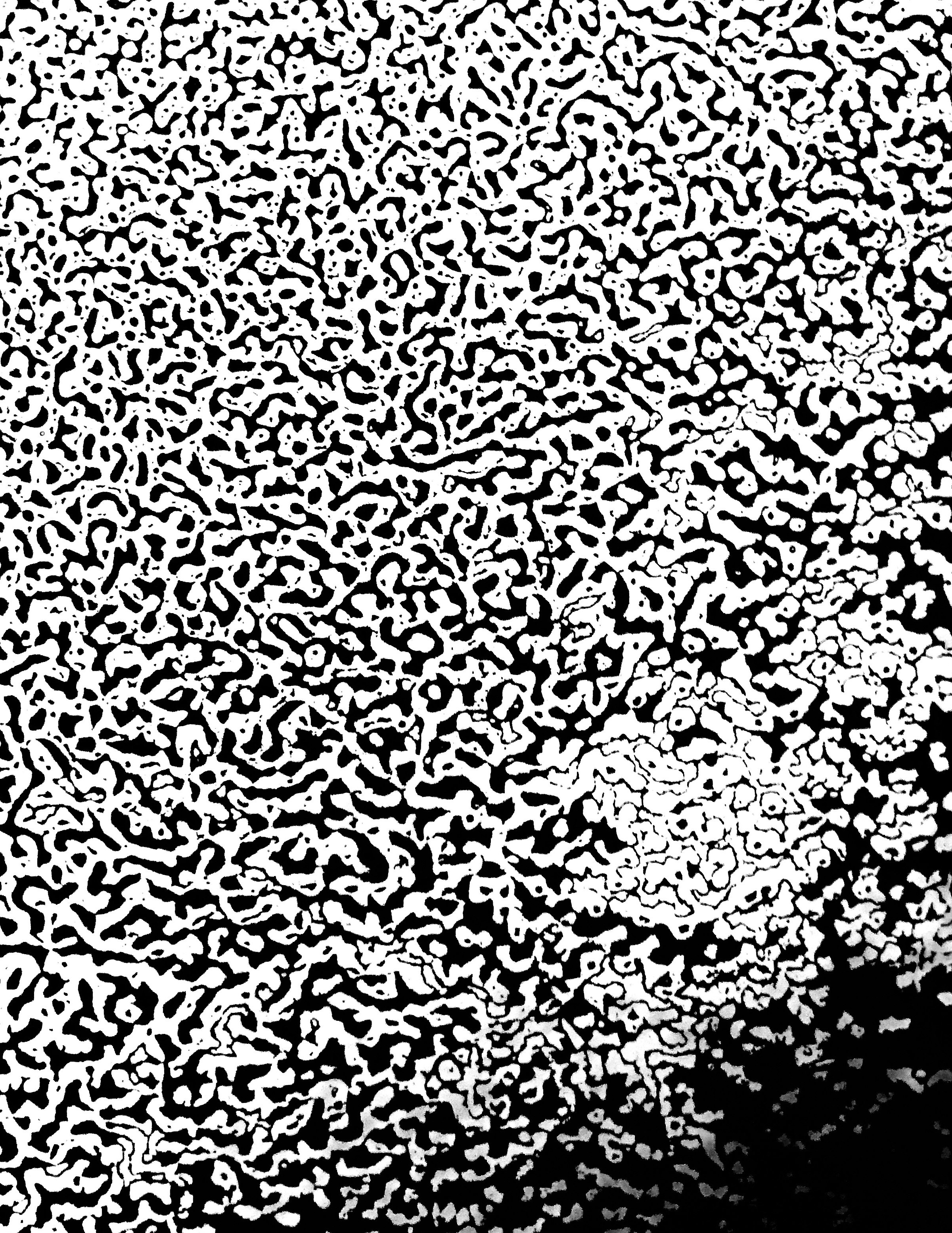 4D67BCBD-CA8E-4226-BA69-10FA129D9BE1.jpeg