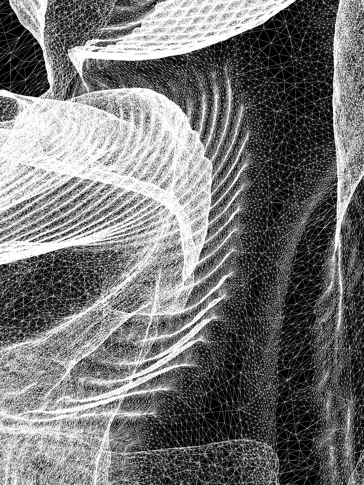 Scan Invert.jpg